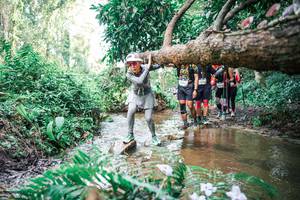 BIB: 
                            <button type="button" onclick="openModal(25515076)" class="btn btn-primary btn-sm float-right btn-popup" data-toggle="modal" data-target=".modal-high-quality">
                        <i class="fas fa-shopping-cart"></i> Add to Cart
                    </button>
                                            <button type="button" onclick="isThisMe(25515076, true)" class="btn btn-success btn-sm float-right btn-popup btn-isme hidden" data-toggle="tooltip" data-placement="bottom" title="นี่คือรูปของคุณใช่ไหม คลิกที่นี่เพื่อเอาเข้าอัลบั้ม">
                        <i class="fas fa-plus"></i> Add to album
                    </button>
                    <button type="button" onclick="isThisMe(25515076, false)" class="btn btn-warning btn-sm float-right btn-popup btn-isnotme hidden">
                        <i class="fas fa-ban"></i> Remove from album
                    </button>